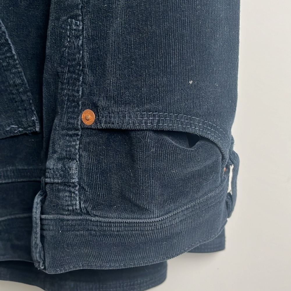 Adriano Goldschmied corduroy low rise flare pants - Picture 3 of 13